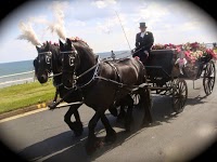 K R M Horse Drawn Carriage Services 1100883 Image 5